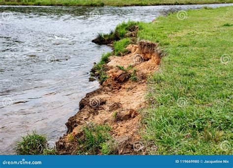 Civil engineers, best way to shore up an eroded creek bank